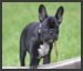 Image with missing alt attribute found on reduceimages.com