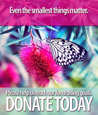 Image with missing alt attribute found on resilience.org