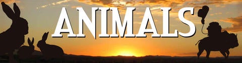 Image with missing alt attribute found on rifftrax.com