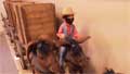 Animatronic Mule Team.