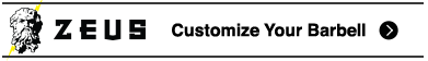 Image with missing alt attribute found on roguefitness.com