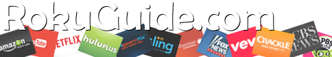 Image with missing alt attribute found on rokuguide.com