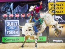 Bull Riding