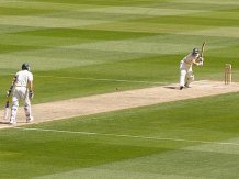 Cricket