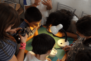 Benefits of a STEM Education for Kids