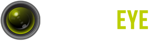 Salient Eye- Use a spare smartphone or tablet as Home Security Alarm System