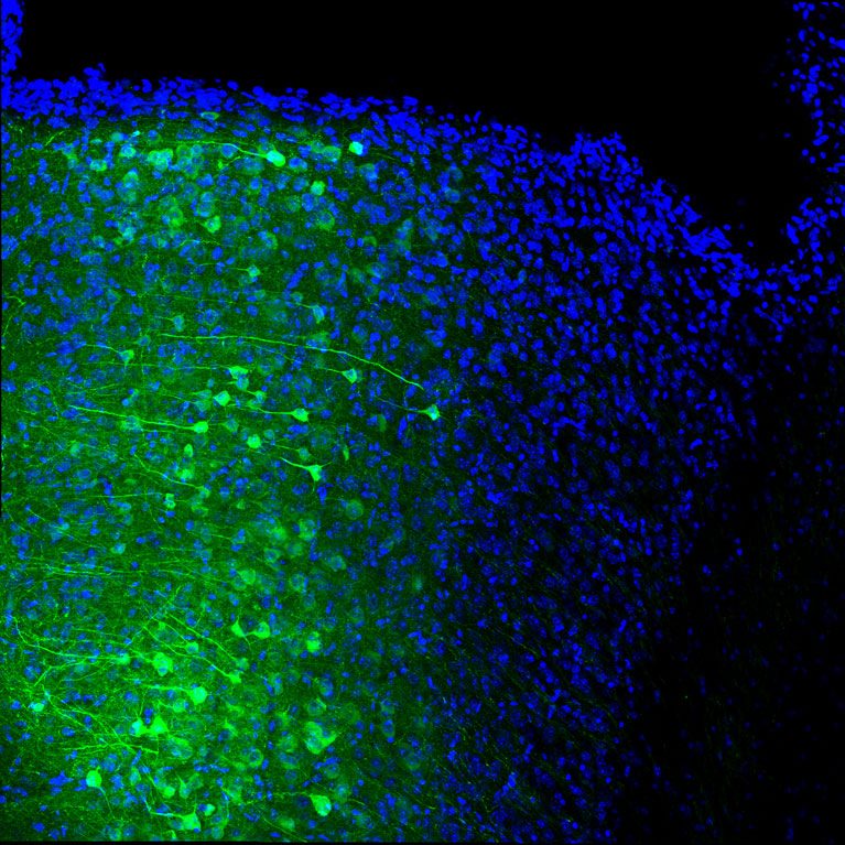 Science-Image-767