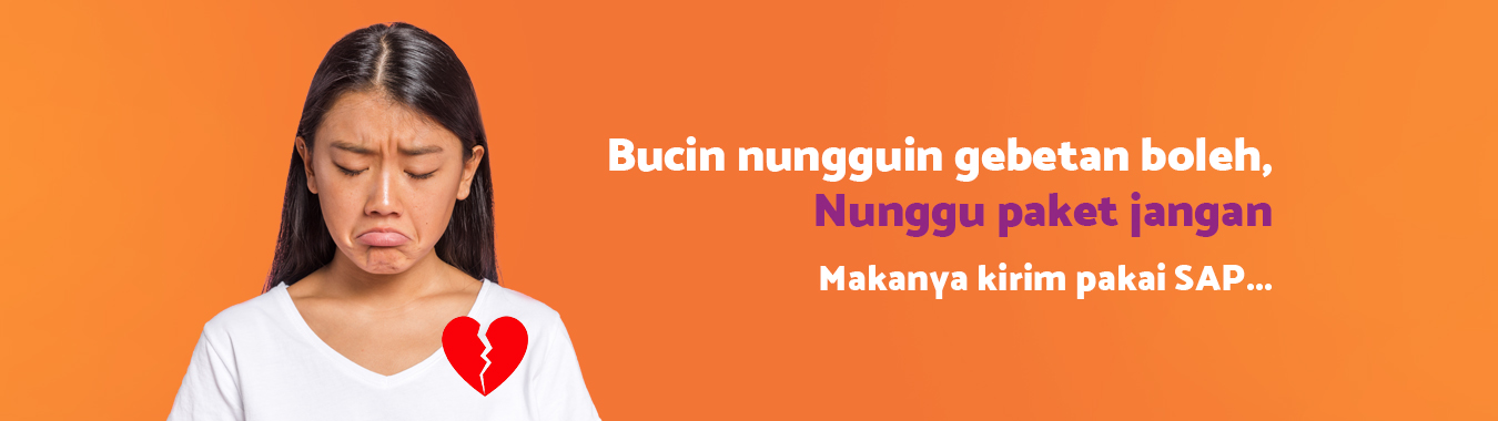 bucin pengiriman sap express