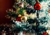 christmas messages from south african leaders