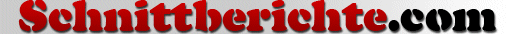 Image with missing alt attribute found on schnittberichte.com