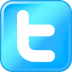 twitter icon