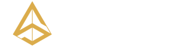 Image with missing alt attribute found on seattleblacklimo.com