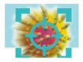 Image with missing alt attribute found on sefh.es