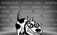 Image with missing alt attribute found on sherdog.com