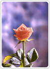 Image with missing alt attribute found on solitaire-klondike.com