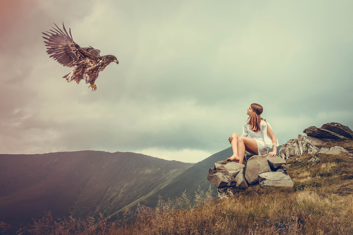 Image with missing alt attribute found on spiritanimal.info