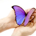 Butterfly Totem