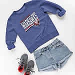 Image with missing alt attribute found on spiritwear.com