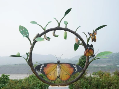 Butterfly Garden 3