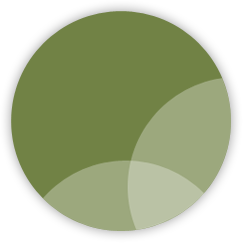Image with missing alt attribute found on stblaw.com