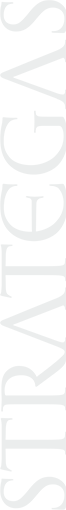 Image with missing alt attribute found on strategasrp.com
