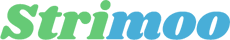 Image with missing alt attribute found on strimoo.com