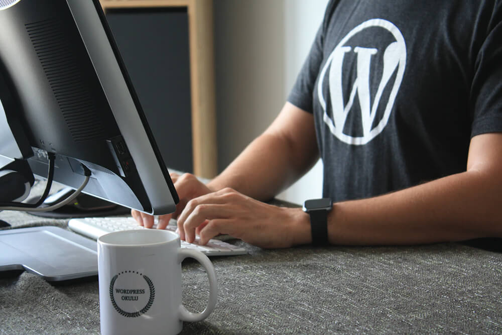 Custom Themes - Man wearing T-Shirt with WordPress Logo