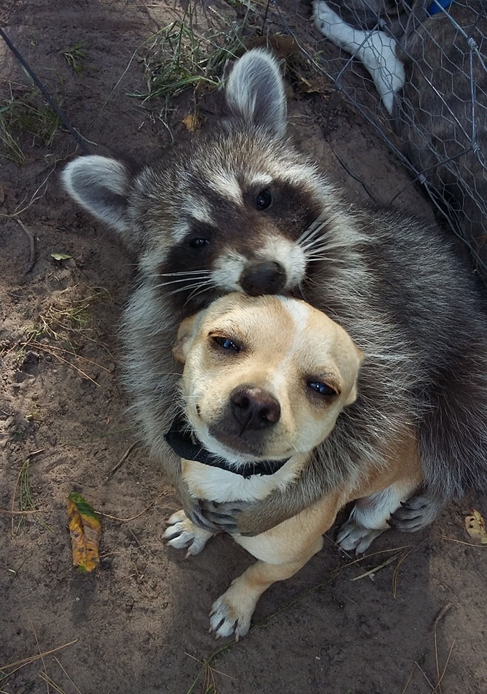 happy pictures
