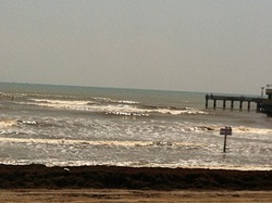 clean, Galveston - FlagshipPier photo