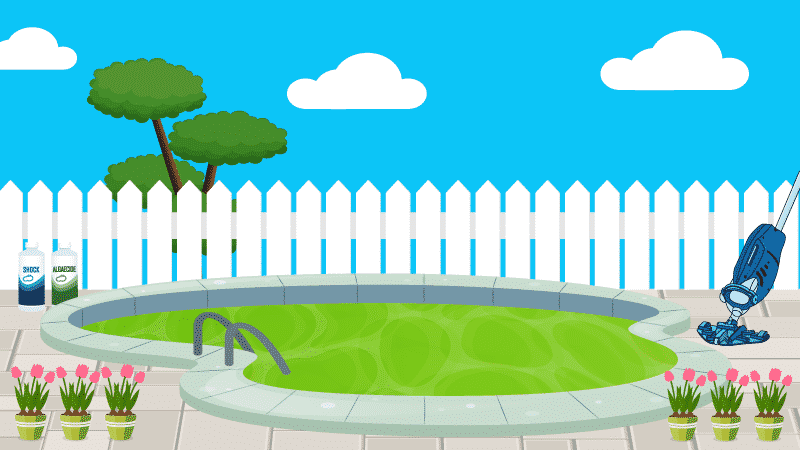 How to Get Rid of Algae in Your Pool