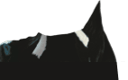 Image with missing alt attribute found on swissmilk.ch