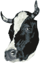 Image with missing alt attribute found on swissmilk.ch