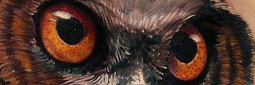Realistic tattoo Gallery