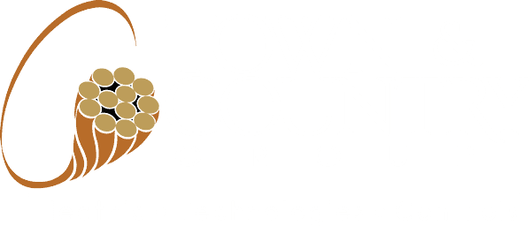 Image with missing alt attribute found on tcgroupinc.com