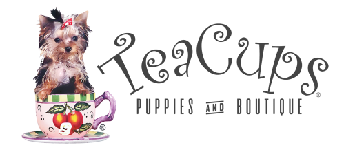 Teacup Puppies & Boutique