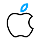iOS App Development