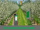 Image with missing alt attribute found on techyv.com