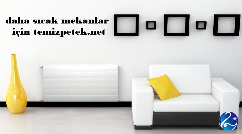 Image with missing alt attribute found on temizpetek.net