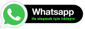Image with missing alt attribute found on temizpetek.net