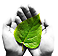 Image with missing alt attribute found on tettosolare.it