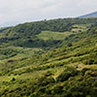 Landscapes