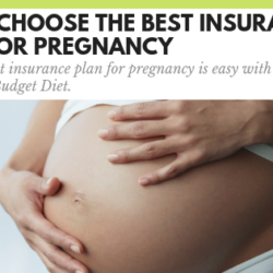 Image with missing alt attribute found on thebudgetdiet.com