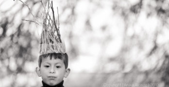 photography by anika alonzo - king of the wild