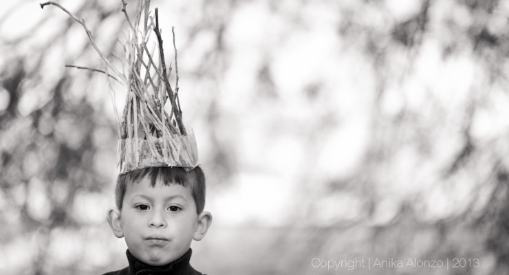 photography by anika alonzo - king of the wild