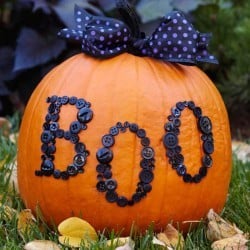 Image with missing alt attribute found on thetaylor-house.com