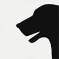 Image with missing alt attribute found on thewalkingdog.es