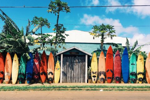 Travel