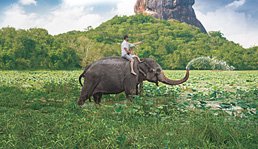 Image with missing alt attribute found on thomascook.in