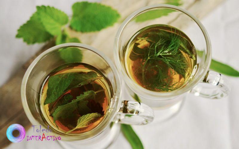 plantas medicinales
