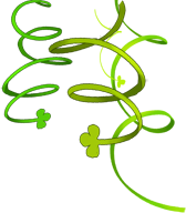 Image with missing alt attribute found on transformice.com